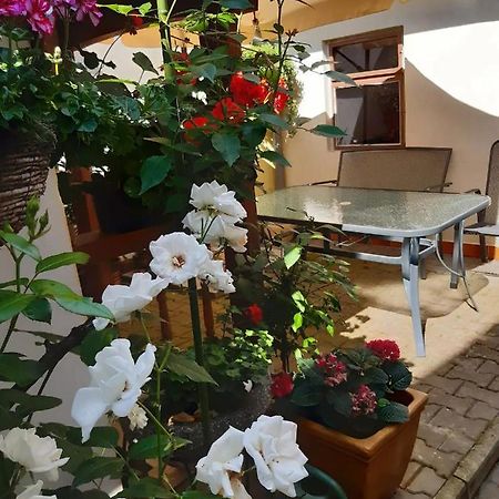 Apartamento U Pani Malirky Valtice Exterior foto