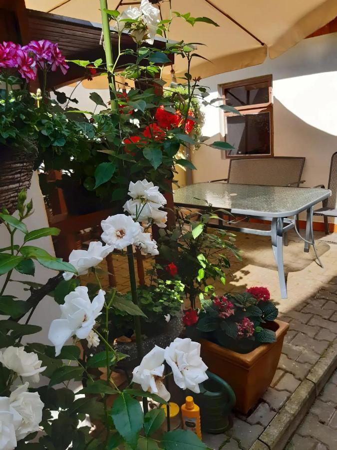 Apartamento U Pani Malirky Valtice Exterior foto