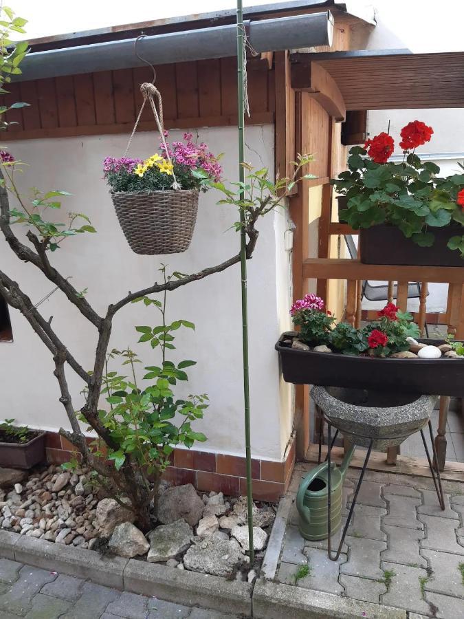 Apartamento U Pani Malirky Valtice Exterior foto
